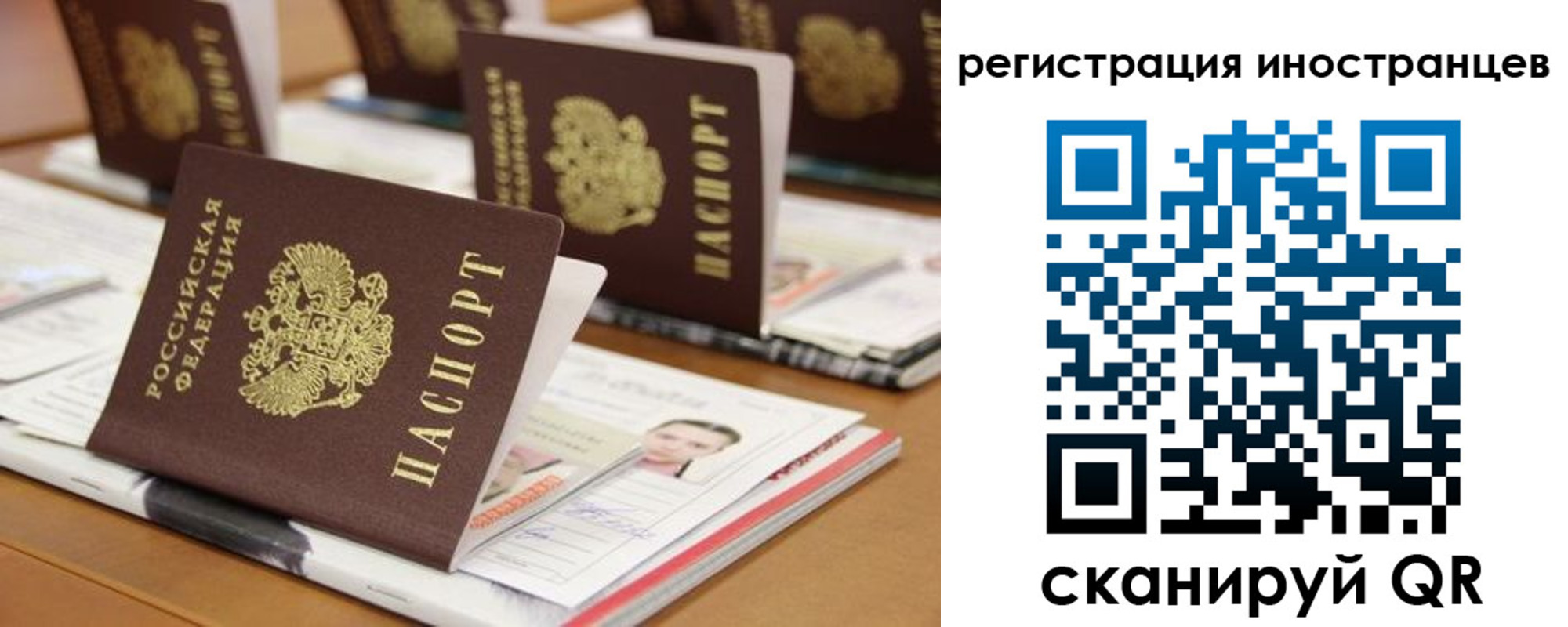 прописка для работы в Жердевке